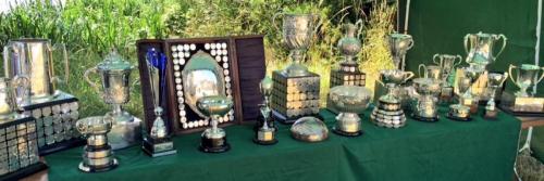 Trophies at Staines Regatta